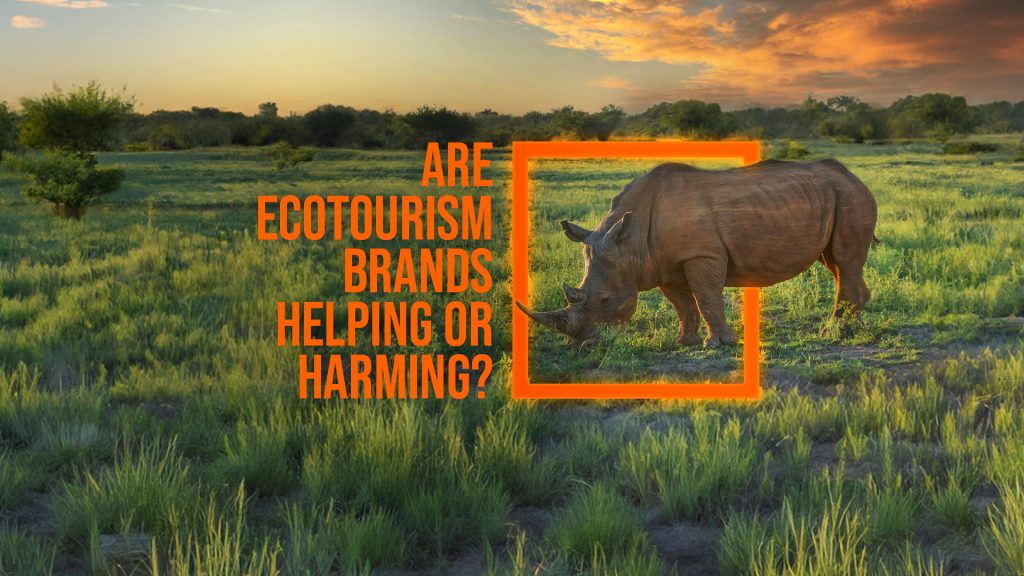 Cover image for an HKLM article titled; ' Are ecotourism brands helping or harming?'